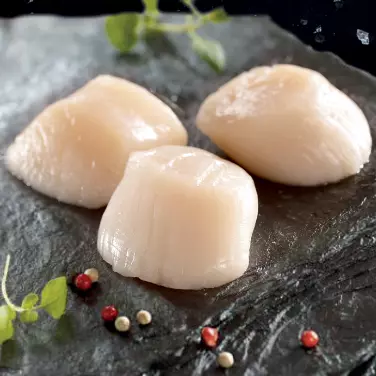 Vieiras sem Concha sem gônoda