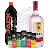COMBO GIN ROCKS 1L