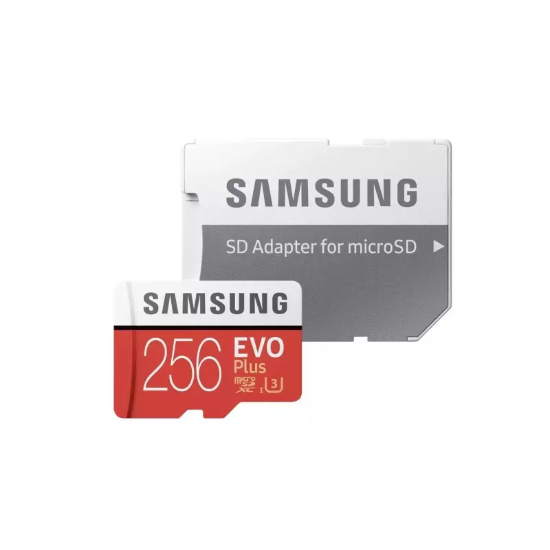 MicroSDXC EVO Plus Clase 10 (256GB)