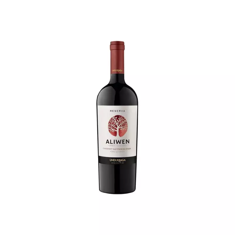 Vino Aliwen Cabernet/Syrah 13.5º 750