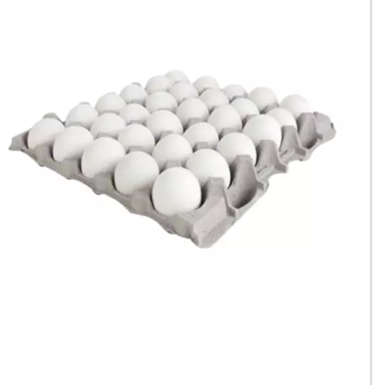 HUEVO FRESCO EN CONO 30 PZ