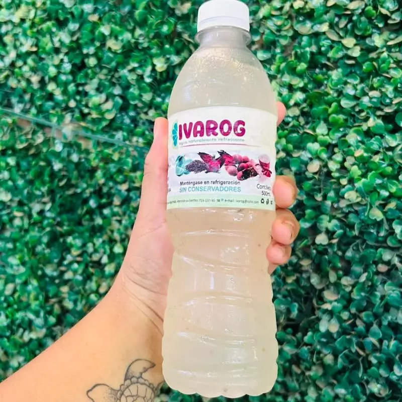 AGUA DE LIMON CON CHIA 500ML