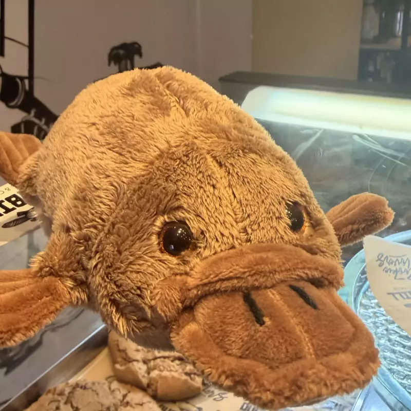 Pelúcia P - Deitado