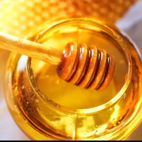 Mel de Agave Orgânico 100% Vegetal