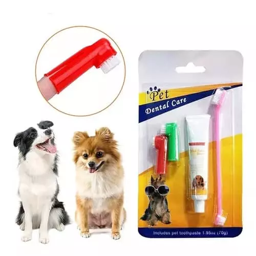 KIT DENTAL