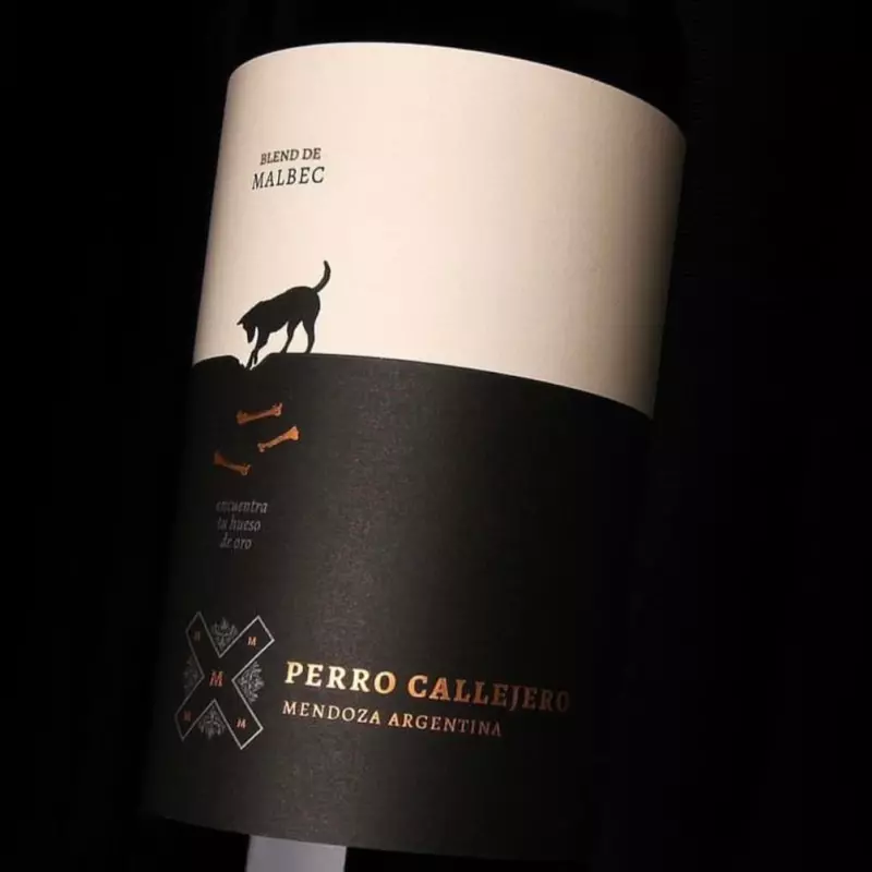 Perro Callejero (ARGENTINA)