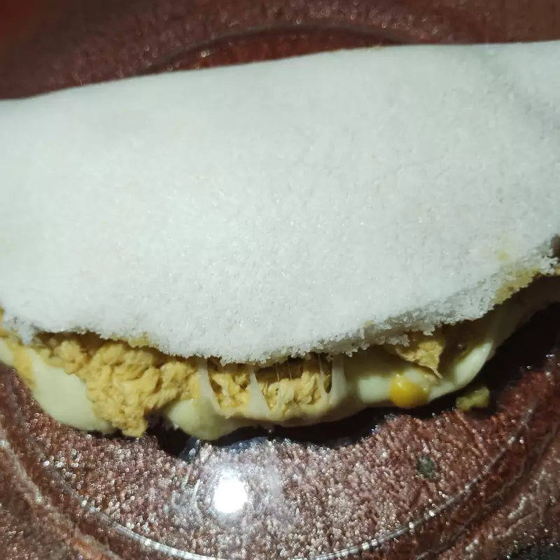 FRANGO CREMOSO KI DELICIA