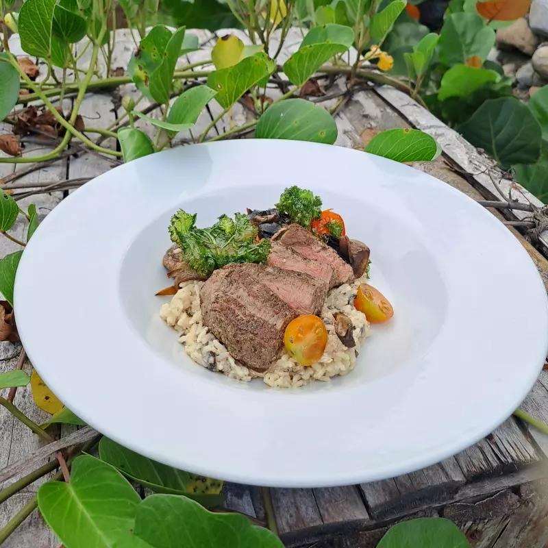 Bowl Arroz Cremoso  ON LOMO DE RES