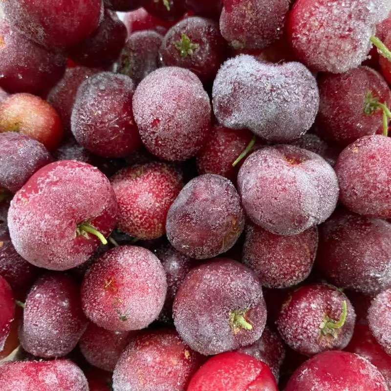 Acerola Congelada (Calais)