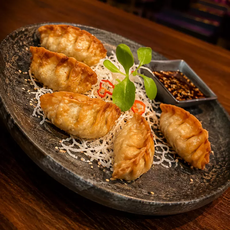 Gyozas Discordia
