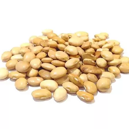 Fava manteiga