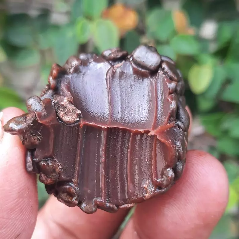 Brigadeiro tradicional