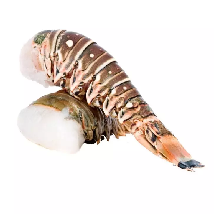 Cauda de Lagosta