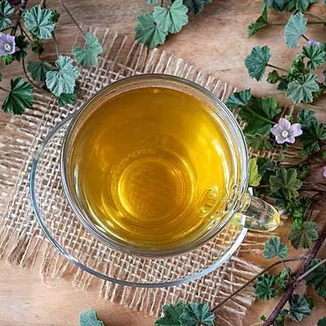 Chá de Malva Sylvestris