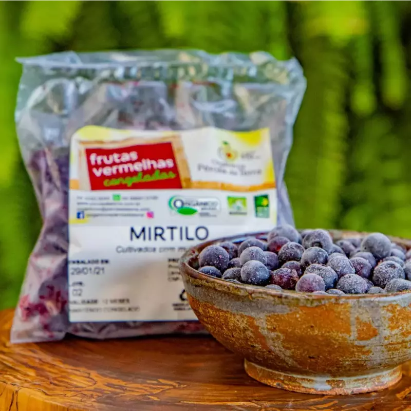 Mirtilo Congelado 200g