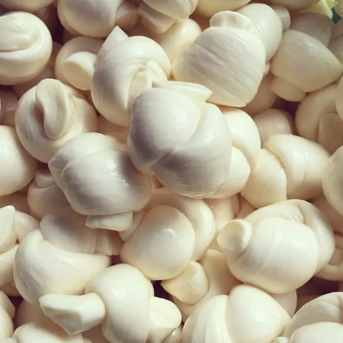 Queijo Nozinho - Pacote 350g