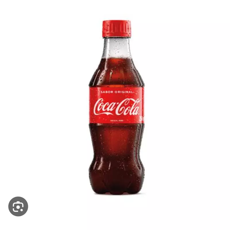 Coca KS 290ml