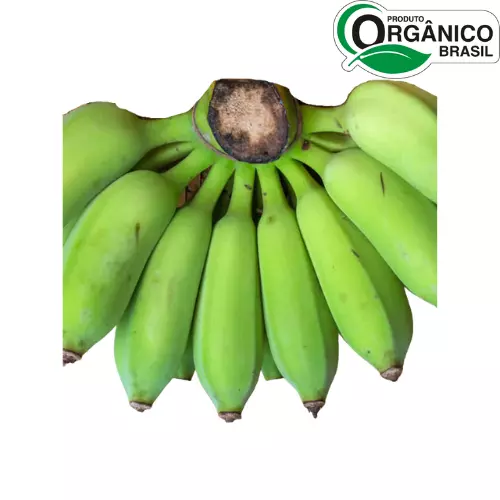 Banana Conquista Orgânica