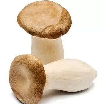 Cardoncello orgánico x 500gr