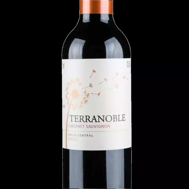 Terranoble Cabernet Sauvignon