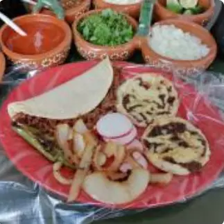 Taco de Birria