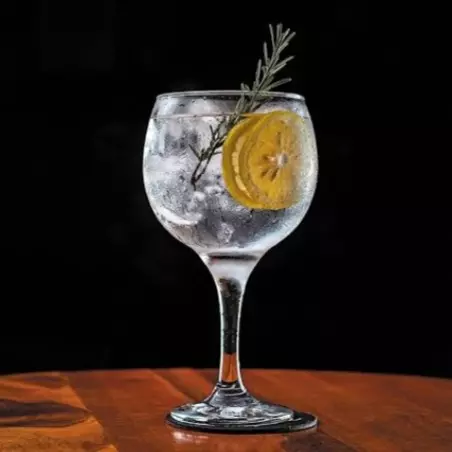 GIN TÔNICA