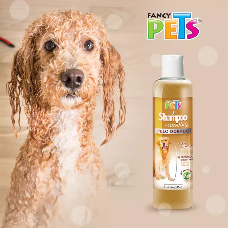 Pelo Dorado - Shampoo Essentials