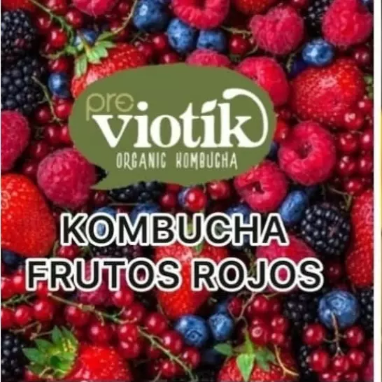 Kombucha sabor Frutos rojos