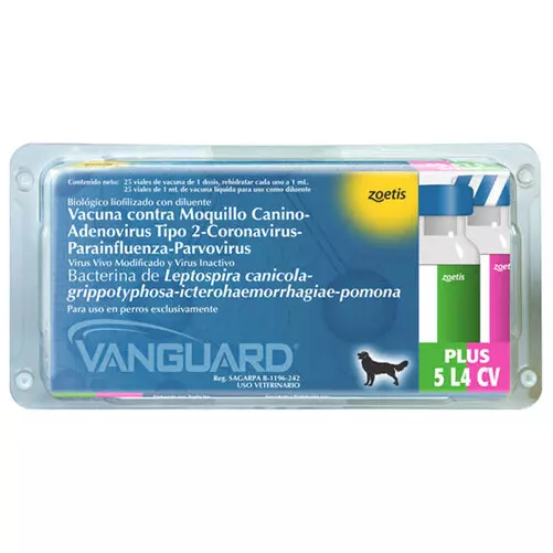 Vacunas Hexavalente