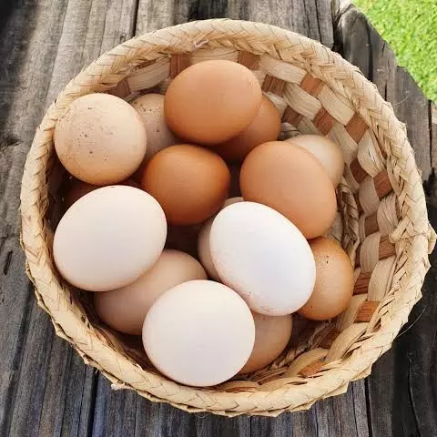 Ovos Caipira - Dúzia