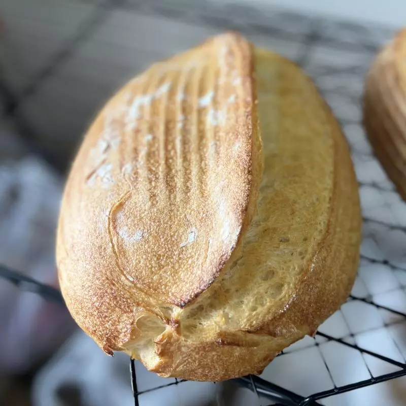 Pão Rústico CONGELADO