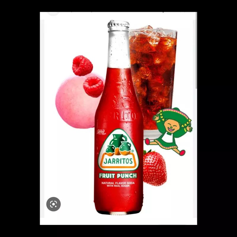 Jarritos Ponche de frutas 355ml