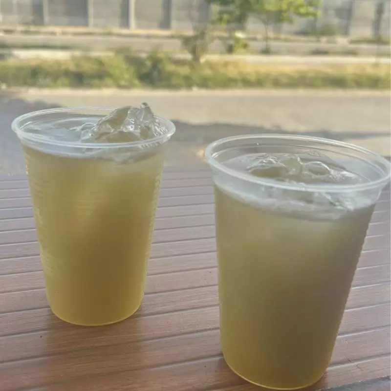 Caldo de 300ml