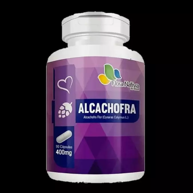 Alcachofra
