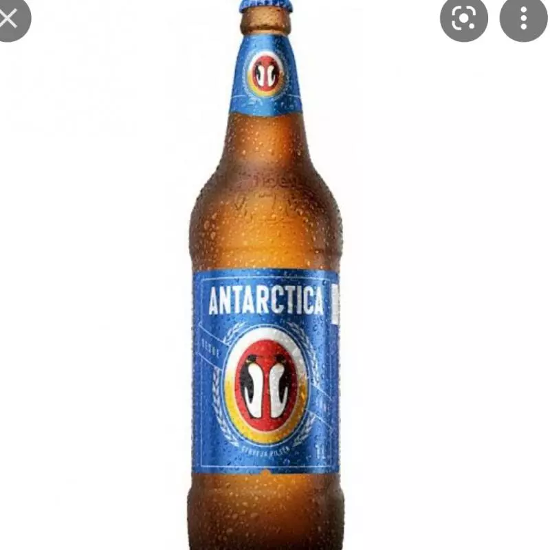 Antárctica 600ml und