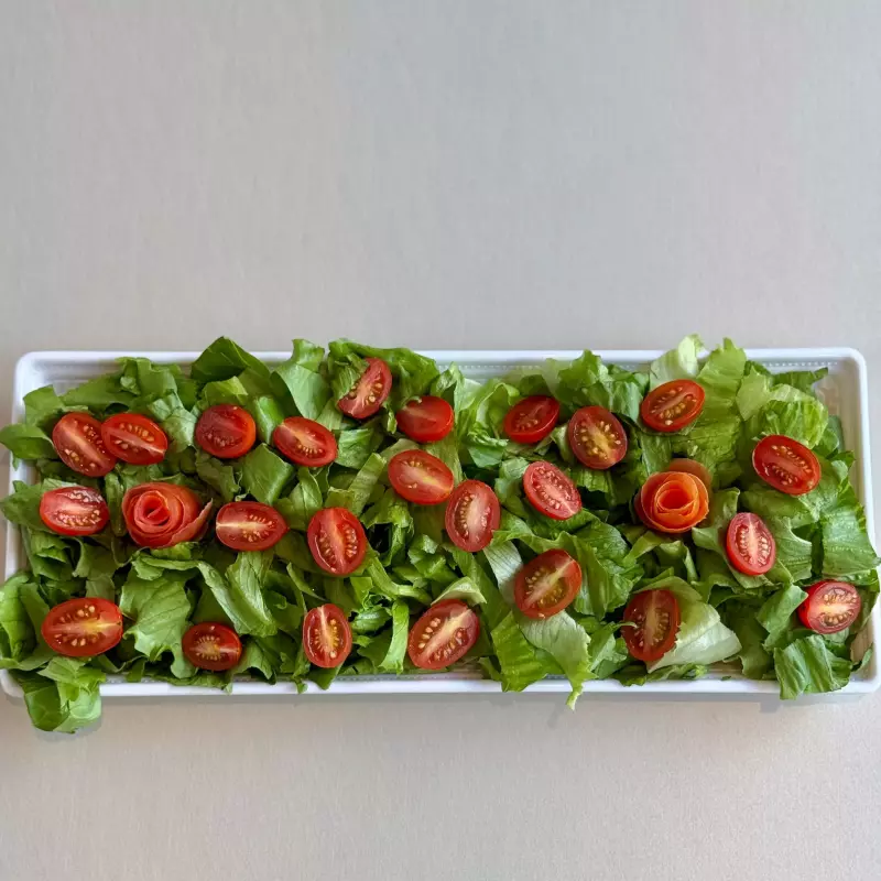 Salada verde