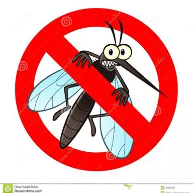 Mosquitos / Muriçocas / Pernilongos