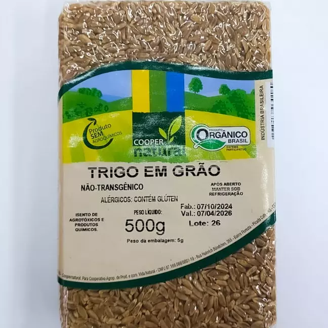 TRIGO EM GRÃOS ORG.500gr