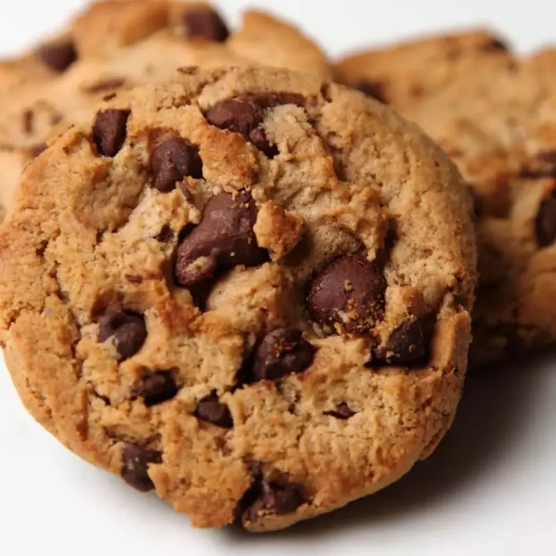 GALLETA CON CHISPAS DE CHOCOLATE