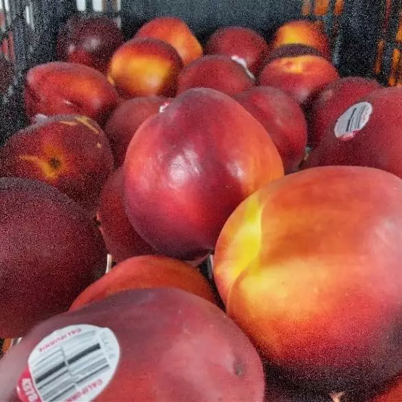 NECTARINA IMPORTADA BANDEJA