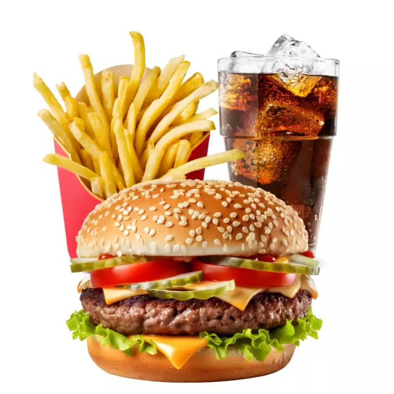 Combo Individual Burguer
