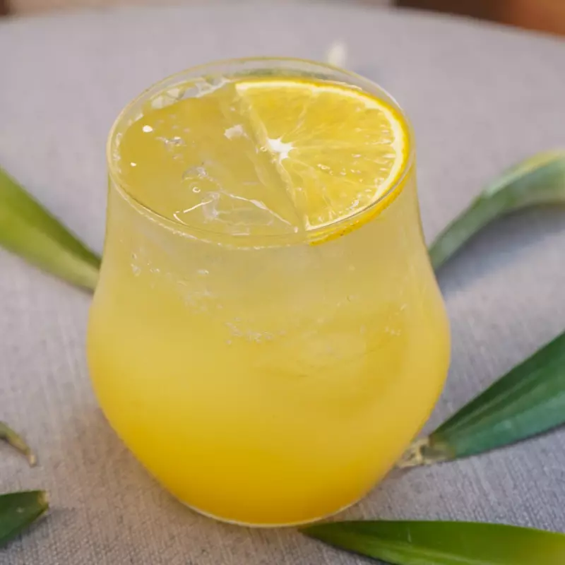 MIMOSA CLÁSICA