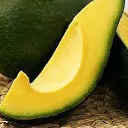AGUACATE  VERDE IMPORTADO
