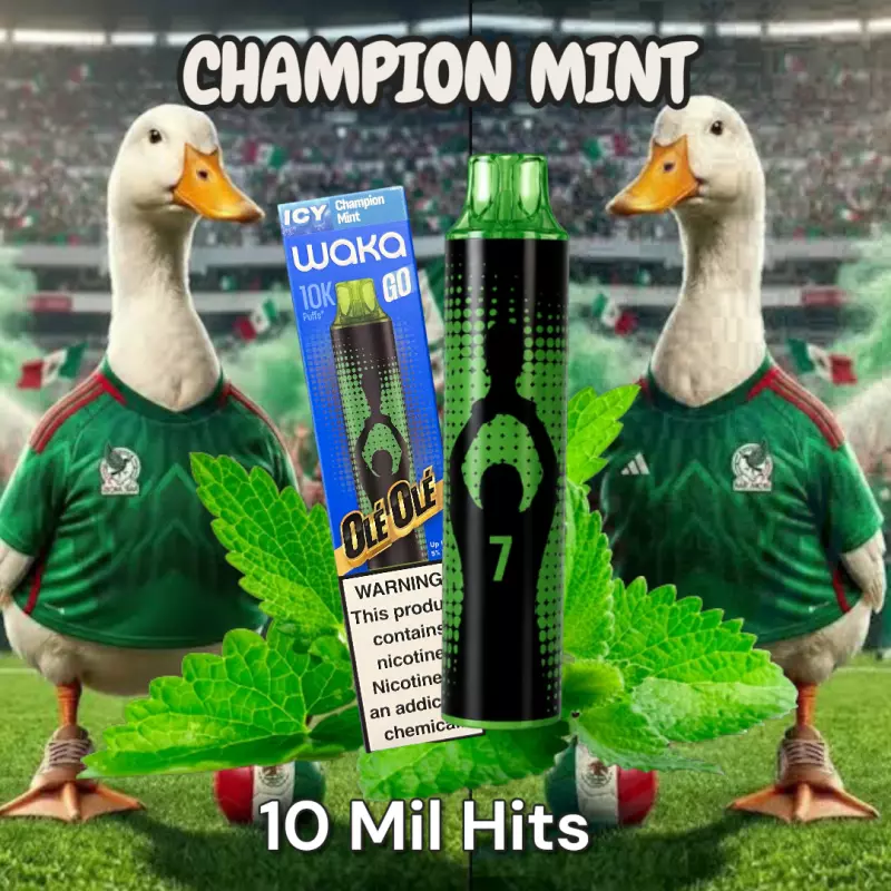 ⚽️Champion Mint⚽️
