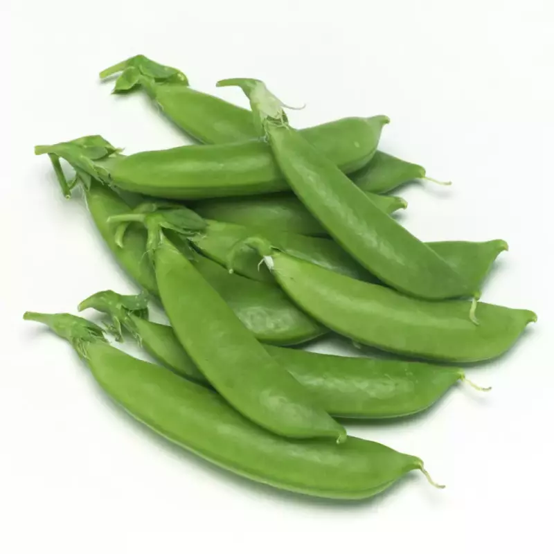 一盒甜豆 habichuela dulce