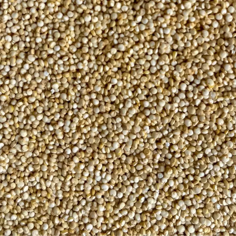QUINOA