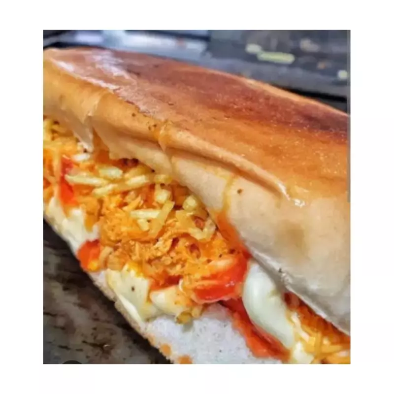 Dog Strogonoff de carne