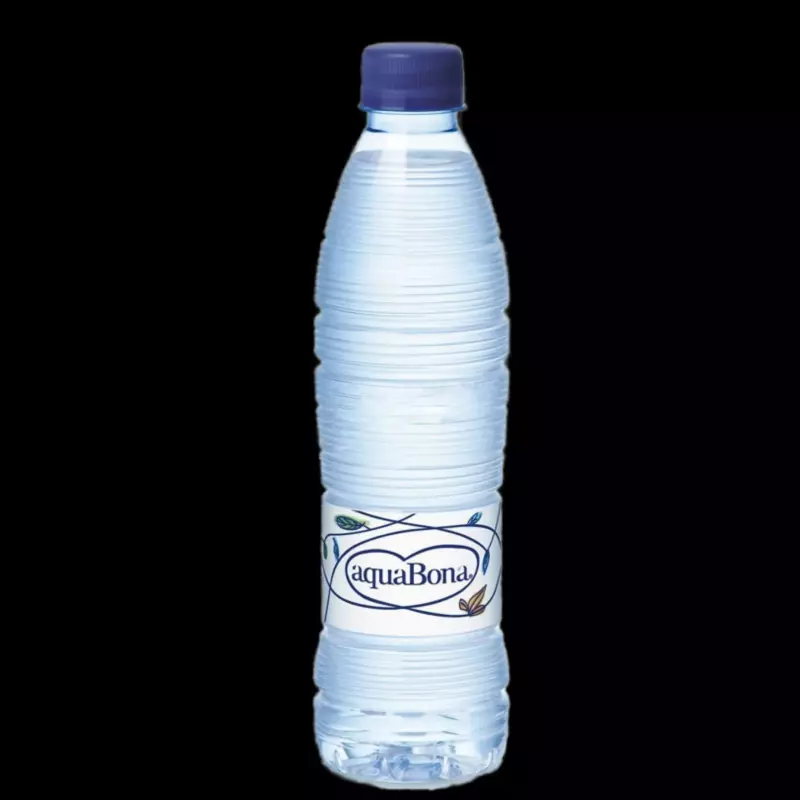 AGUA 500 ML