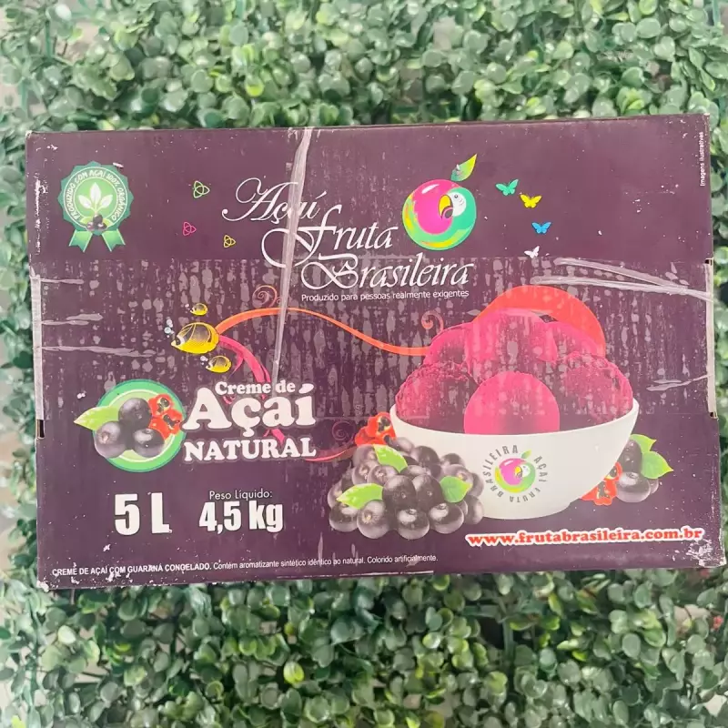 Açai natural 5L