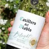 Vinho Casillero Sauvignon Blanc